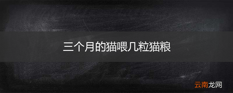 三个月的猫喂几粒猫粮
