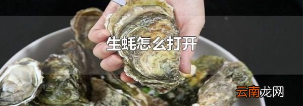 生蚝怎么打开
