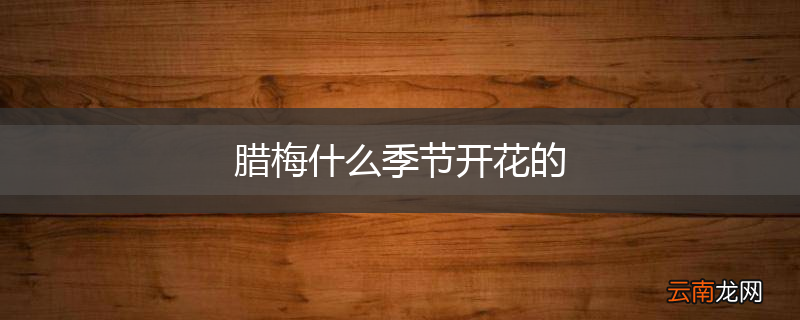 腊梅什么季节开花的