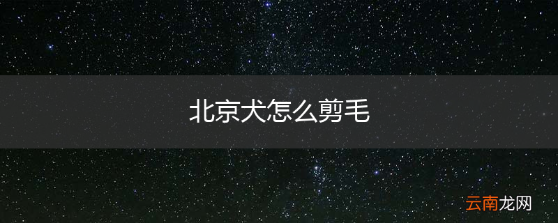 北京犬怎么剪毛