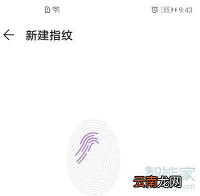华为nova7有指纹解锁吗