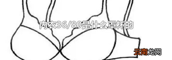 内衣36/80是什么罩杯的