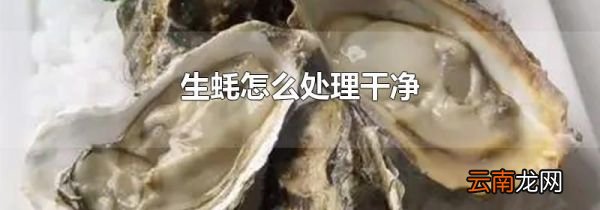 生蚝怎么处理干净