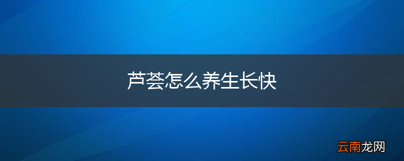 芦荟怎么养生长快