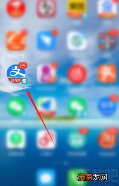 支付宝app查看退款明细的方法