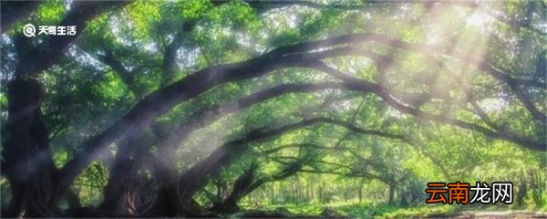 你若安好便是晴天的下一句是什么 你若安好便是晴天的下一句