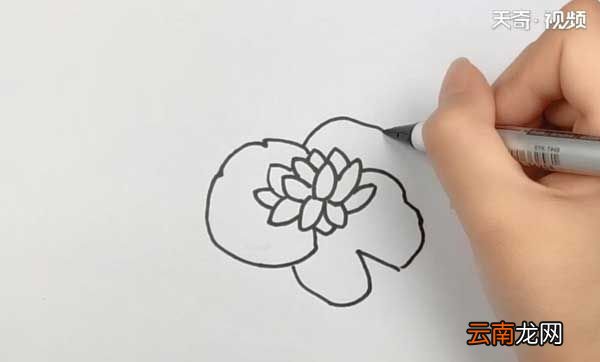 池塘简笔画