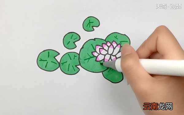 池塘简笔画