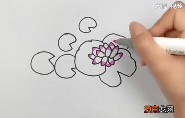 池塘简笔画