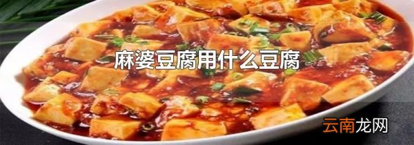 麻婆豆腐用什么豆腐