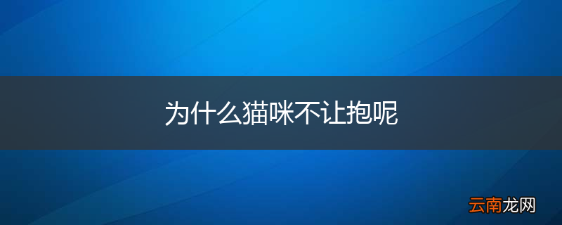 为什么猫咪不让抱呢
