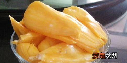 菠萝蜜怎么挑选怎么吃？