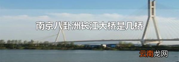 南京八卦洲长江大桥是几桥