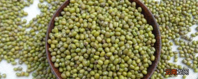 怎么判断绿豆熟没熟