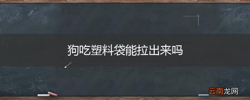 狗吃塑料袋能拉出来吗