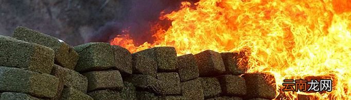 通过焚烧销毁大麻会不会让围观群众吸嗨？