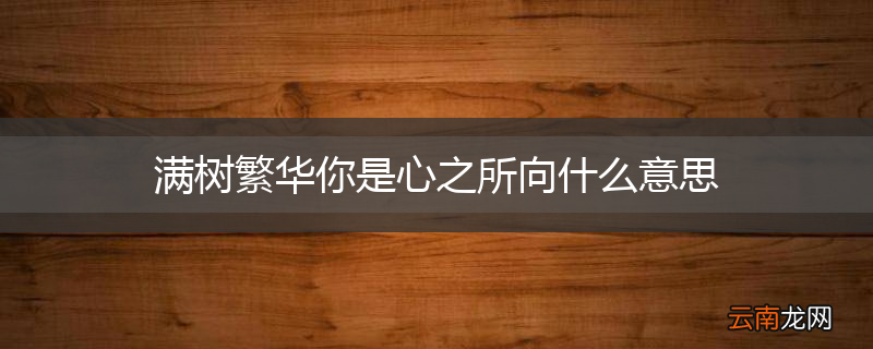 满树繁华你是心之所向什么意思