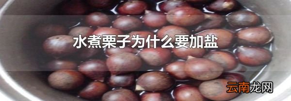 水煮栗子为什么要加盐