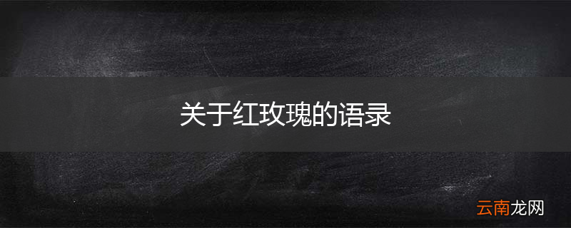 关于红玫瑰的语录