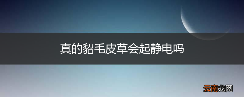 真的貂毛皮草会起静电吗