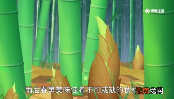 竹子的品质和精神 竹子的品质和精神是什么
