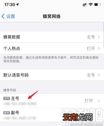 苹果手机关闭volte功能的方法
