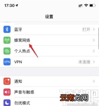 苹果手机关闭volte功能的方法
