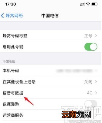 苹果手机关闭volte功能的方法