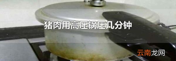 猪肉用高压锅压几分钟
