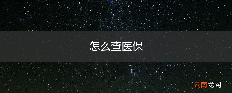 怎么查医保