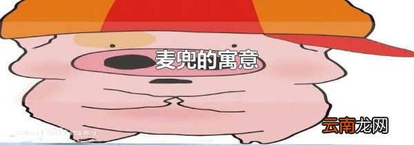 麦兜的寓意