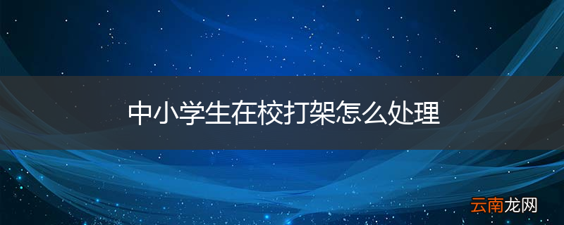 中小学生在校打架怎么处理