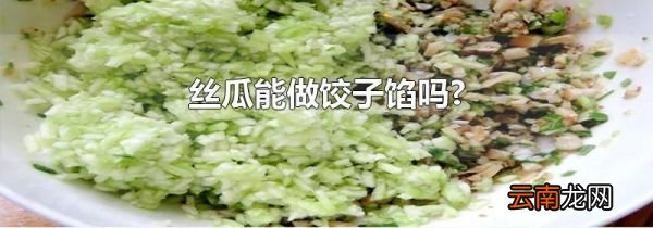 丝瓜能做饺子馅吗?