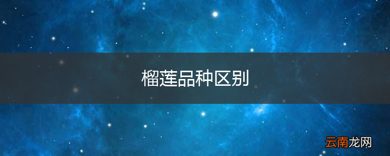 榴莲品种区别