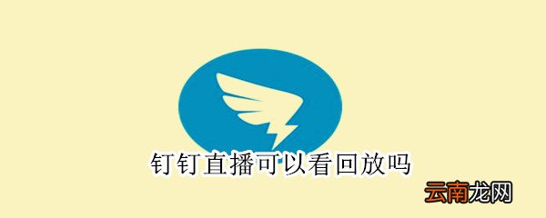 钉钉直播可以看回放吗