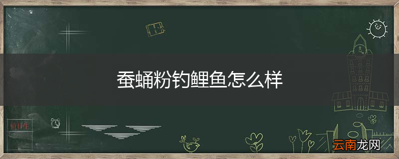 蚕蛹粉钓鲤鱼怎么样