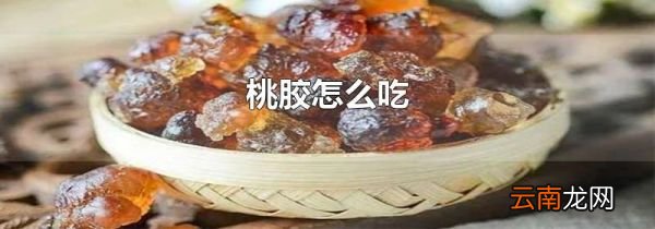 桃胶怎么吃