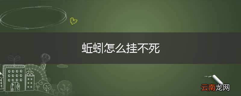 蚯蚓怎么挂不死