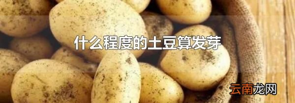 什么程度的土豆算发芽