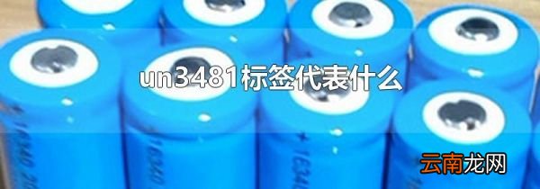 un3481标签代表什么