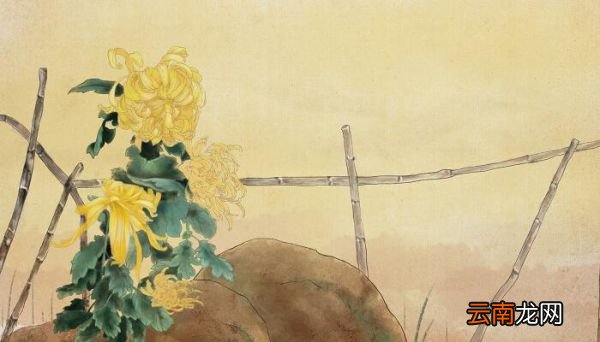 《菊花》古诗拼音版 《菊花》古诗