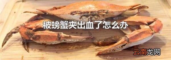 被螃蟹夹出血了怎么办