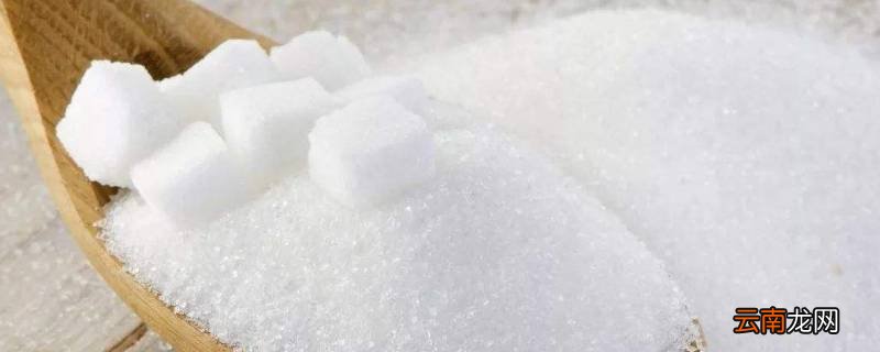 食盐和白砂糖哪个溶解能力强