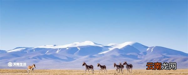 吐蕃国是现在的哪里 以前的吐蕃国是现在的什么地方