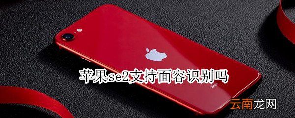 苹果se2支持面容识别吗