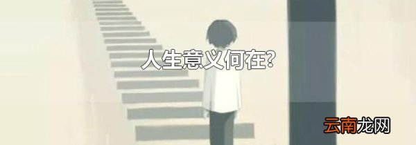 人生意义何在?