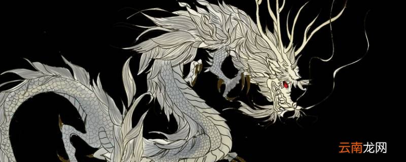 龙怎么叫