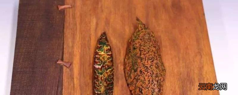 生柿漆和熟柿漆区别