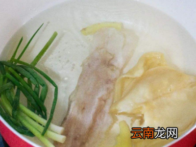 如何泡发鱼胶