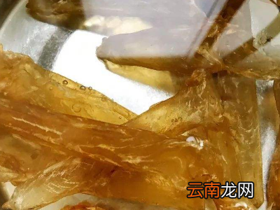 如何泡发鱼胶